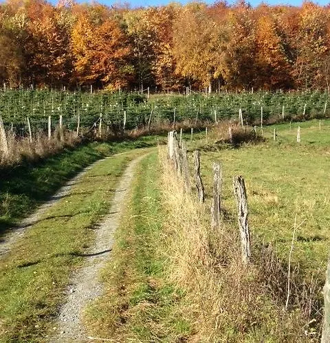 Ξενοδοχείο Westfeld Schmallenberg